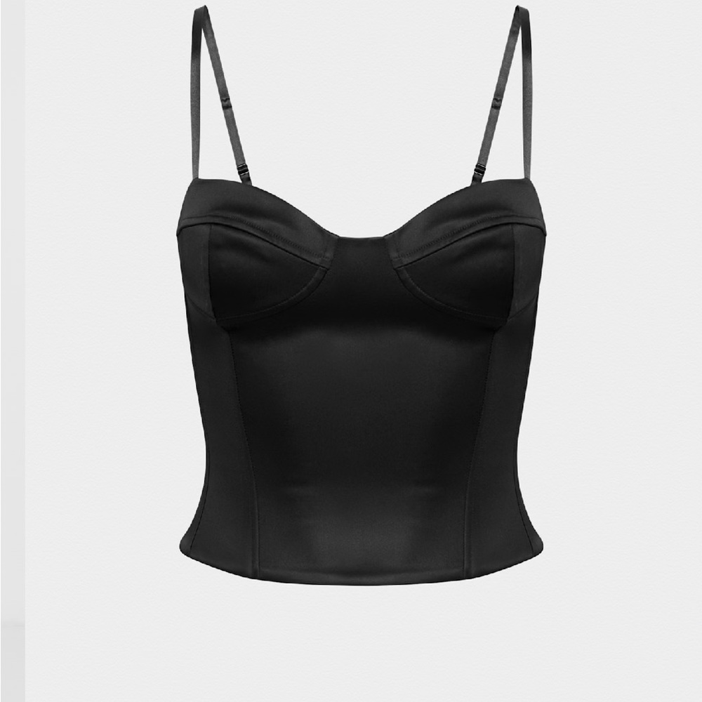Aritzia - Dazzle Satin Bustier